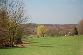 Hundewiese
