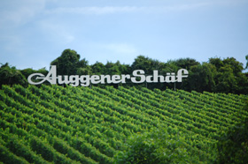 Auggen